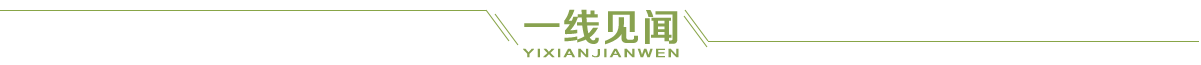 一线见闻